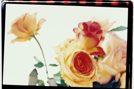 Квіти - листівки та привітання